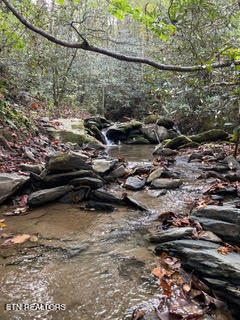 0 Barnes Hollow Road Cosby, TN 37722 - Photo 39 of 59 Photo 53