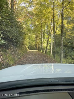 0 Barnes Hollow Road Cosby, TN 37722 - Photo 40 of 59 Photo 55