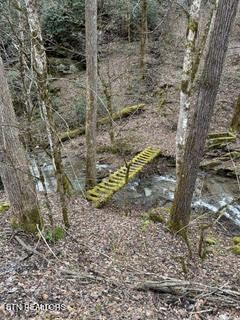 0 Barnes Hollow Road Cosby, TN 37722 - Photo 4 of 59 Photo 2