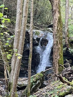 0 Barnes Hollow Road Cosby, TN 37722 - Photo 41 of 59 Photo 56