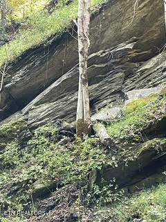 0 Barnes Hollow Road Cosby, TN 37722 - Photo 42 of 59 Photo 57