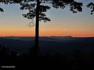 0 Barnes Hollow Road Cosby, TN 37722 - Photo 43 of 59 Photo 58