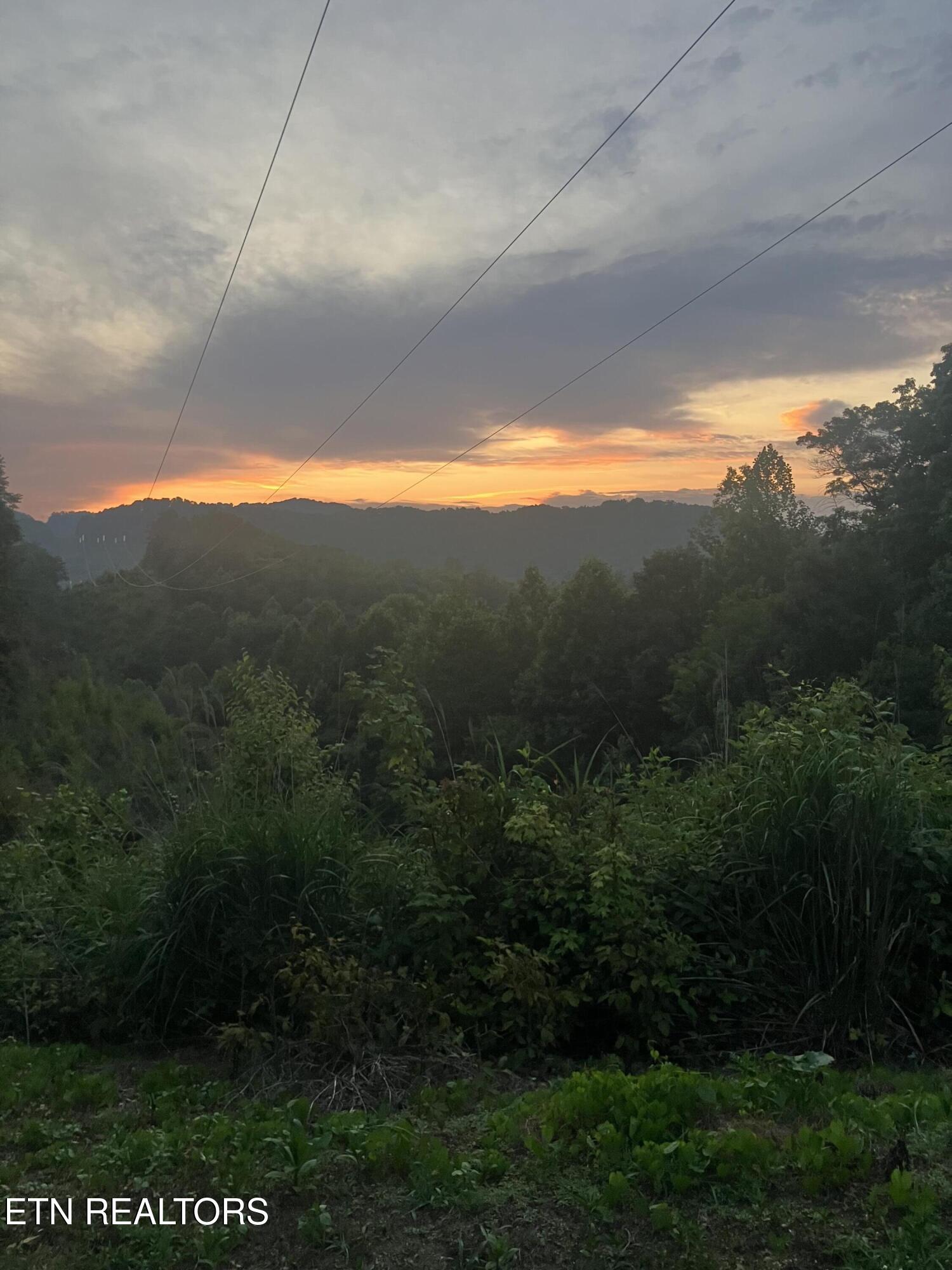 0 Barnes Hollow Road Cosby, TN 37722 - Photo 48 of 59 image2