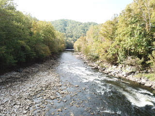 0 Barnes Hollow Road Cosby, TN 37722 - Photo 5 of 59 Photo 3