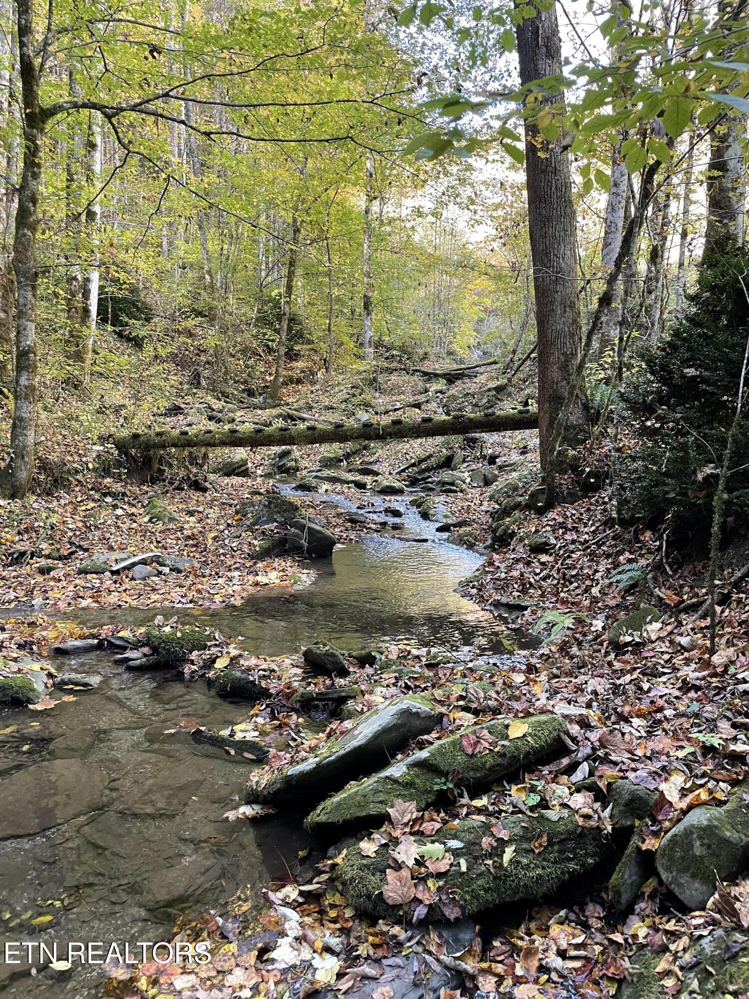0 Barnes Hollow Road Cosby, TN 37722 - Photo 55 of 59 image8