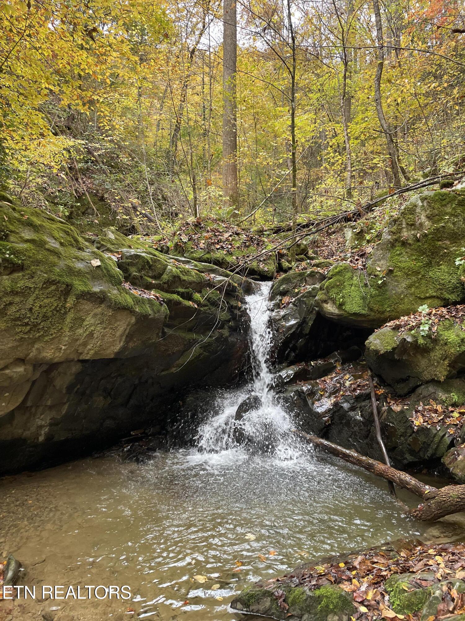 0 Barnes Hollow Road Cosby, TN 37722 - Photo 56 of 59 image10