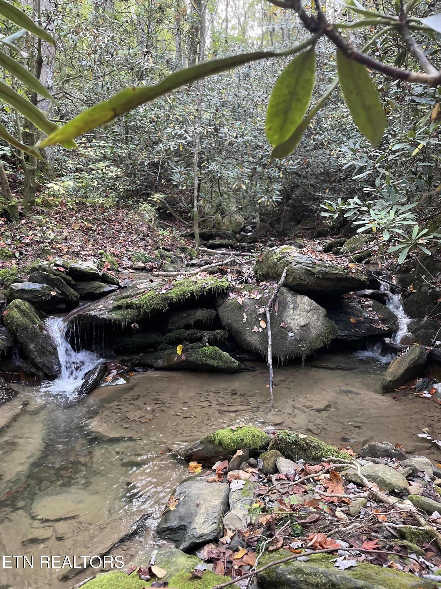 0 Barnes Hollow Road Cosby, TN 37722 - Photo 58 of 59 image13