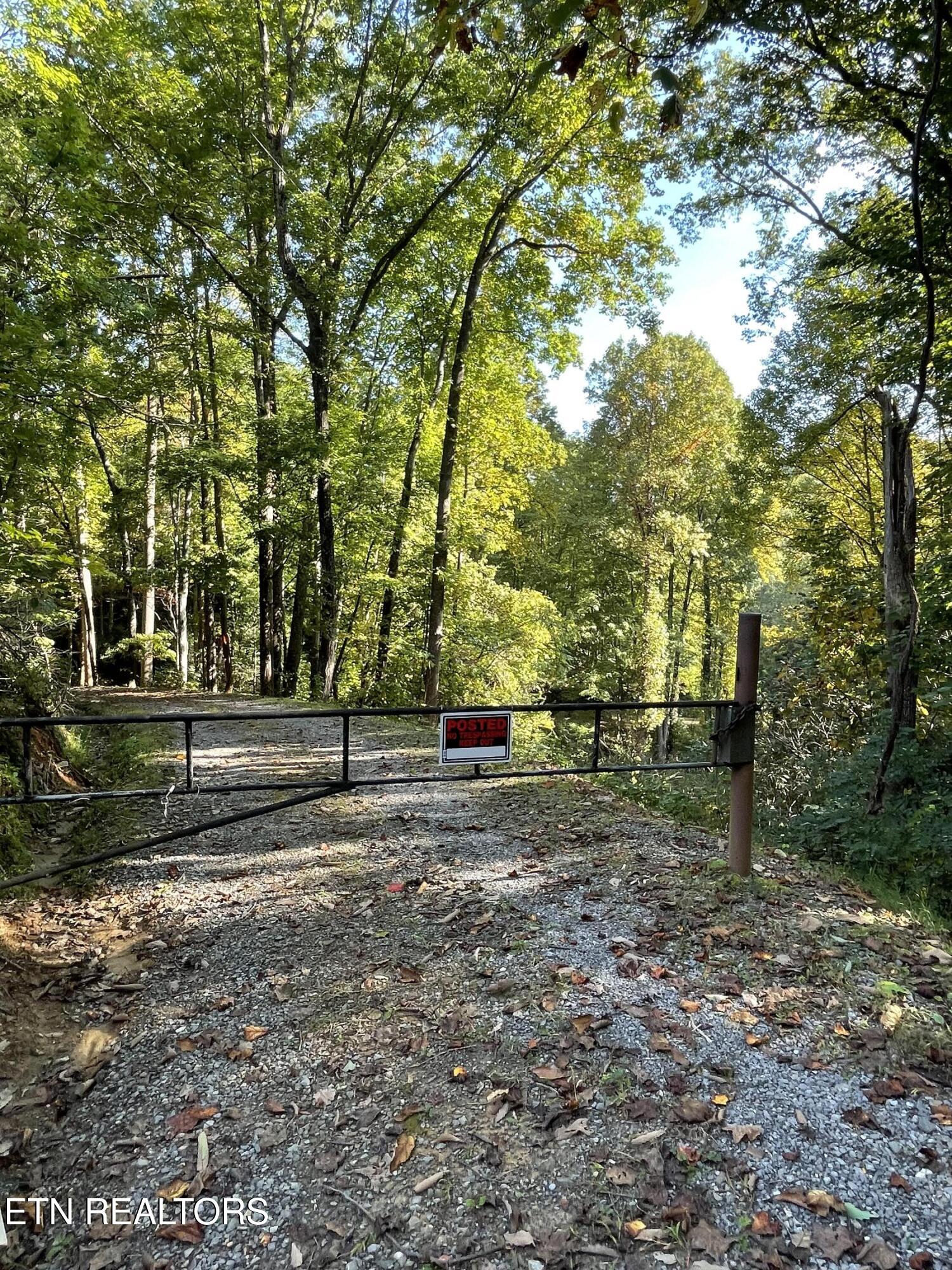 0 Barnes Hollow Road Cosby, TN 37722 - Photo 59 of 59 image15