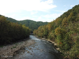 0 Barnes Hollow Road Cosby, TN 37722 - Photo 6 of 59 Photo 4