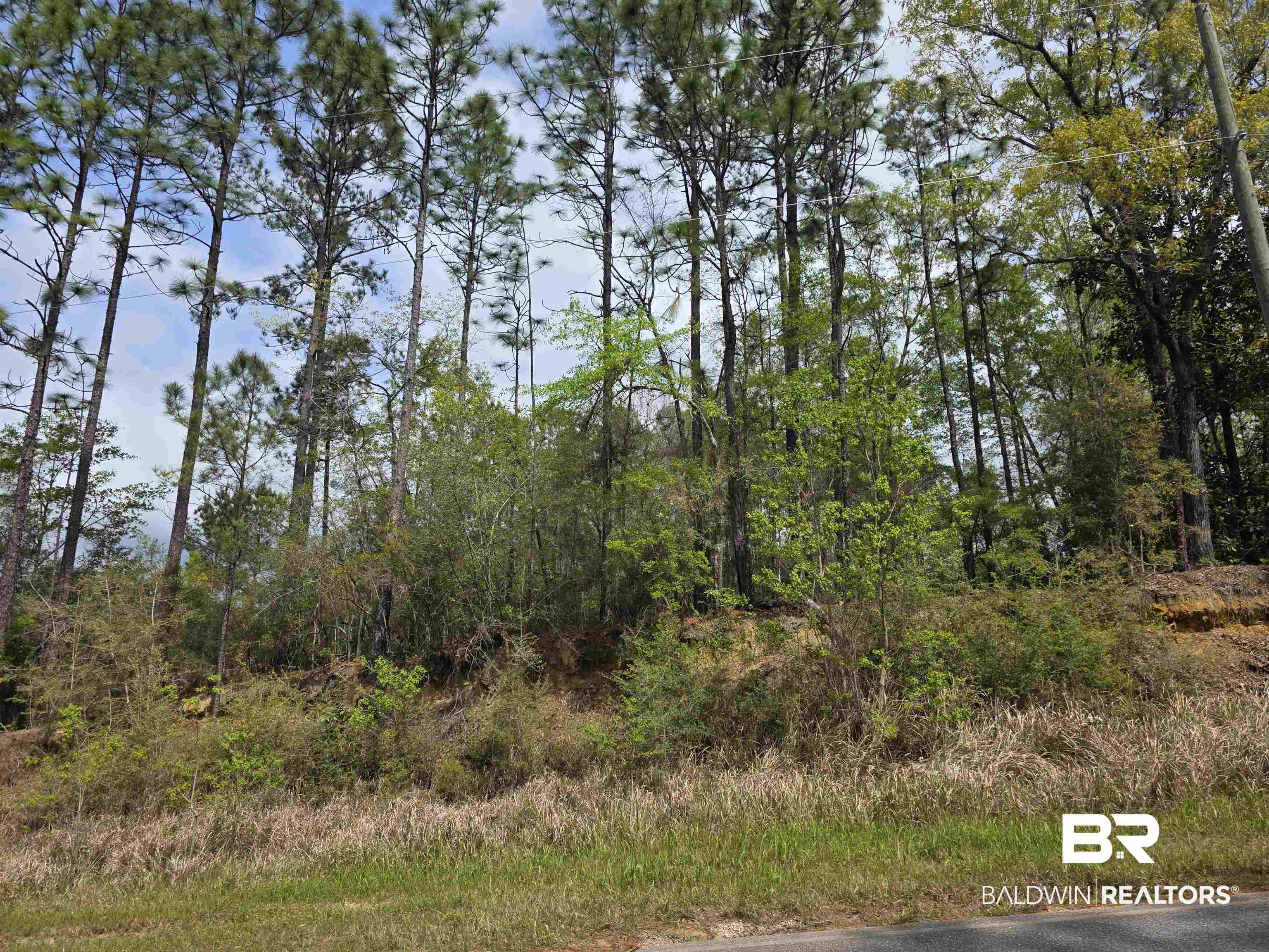 12287 Red Hill Rd Extension Bay Minette, AL 36507 - Photo 9 of 10 View of undeveloped land