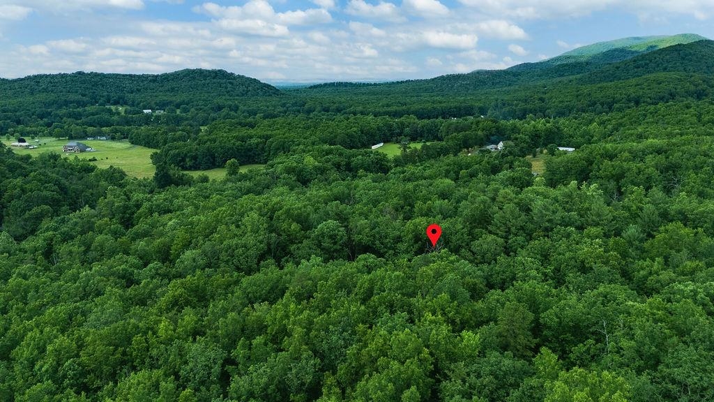 Tbd Calf Mountain Road Waynesboro, VA 22980 - Photo 18 of 36