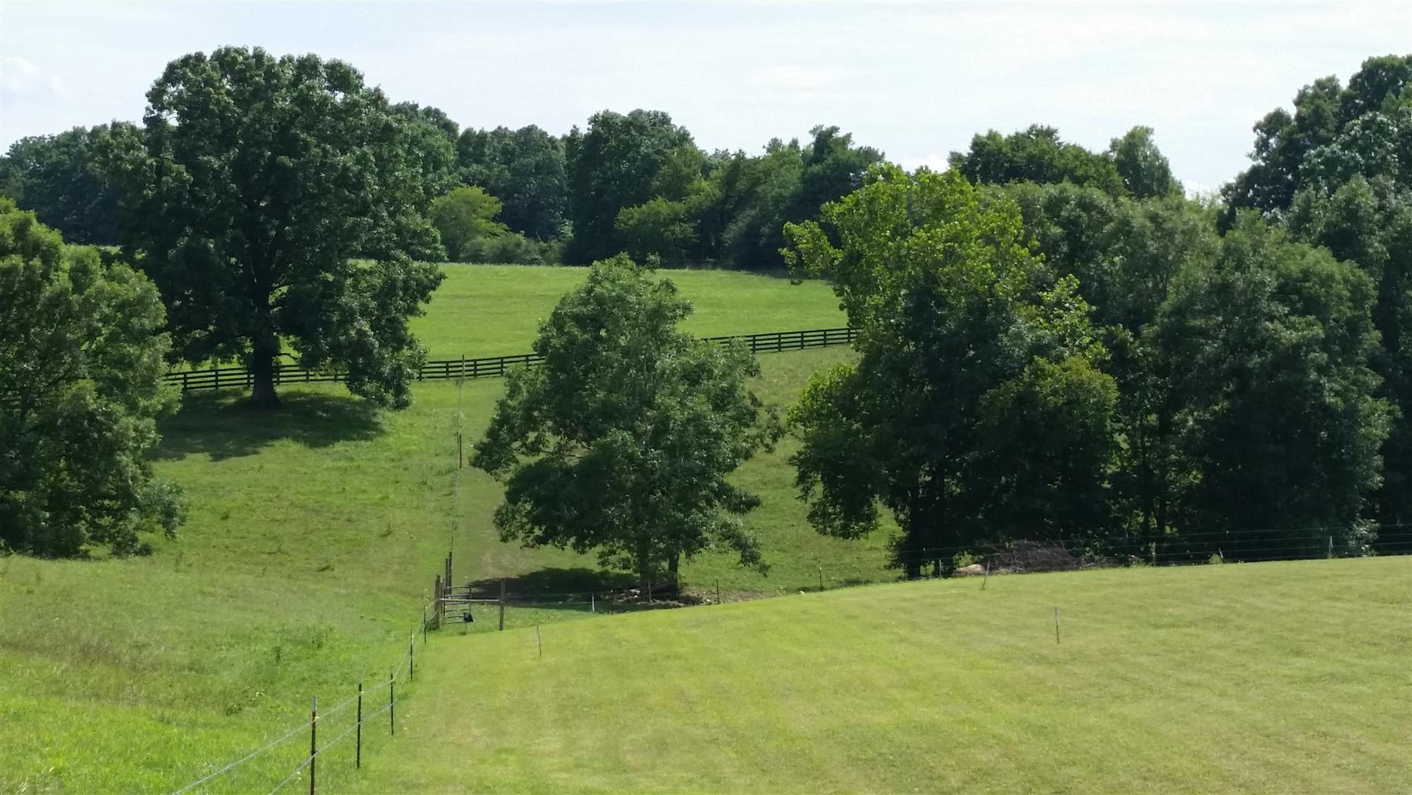 7997 Old Pinewood Road Bon Aqua, TN 37025 - Photo 3 of 13