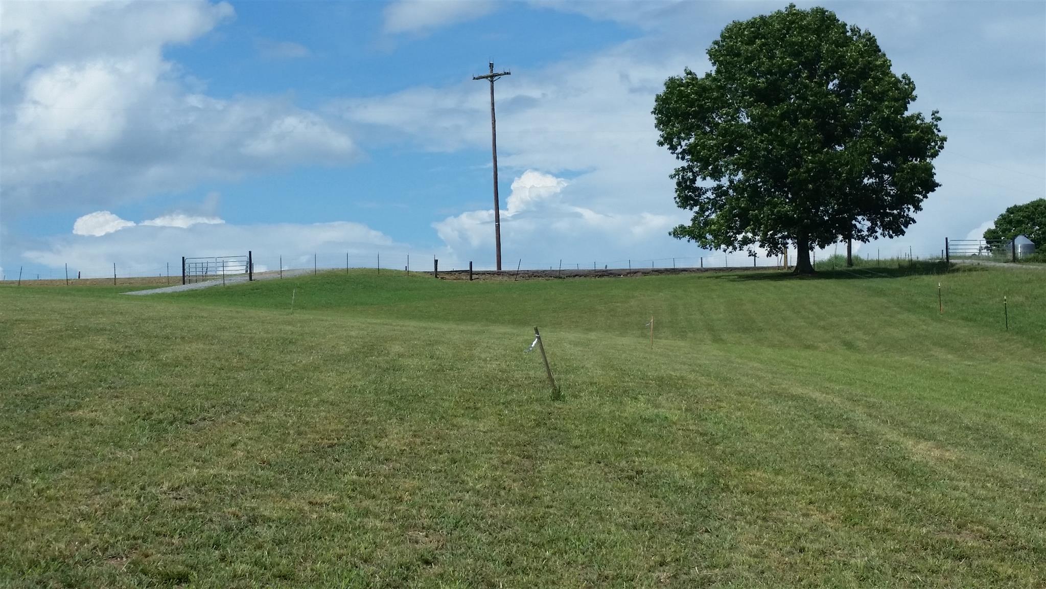 7997 Old Pinewood Road Bon Aqua, TN 37025 - Photo 6 of 13