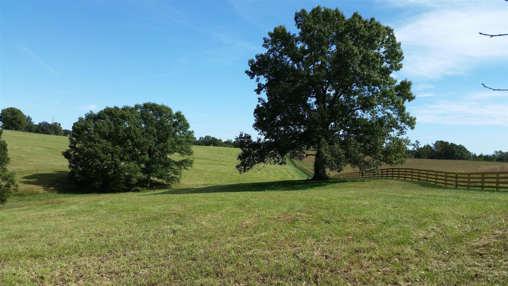 7997 Old Pinewood Road Bon Aqua, TN 37025 - Photo 7 of 13