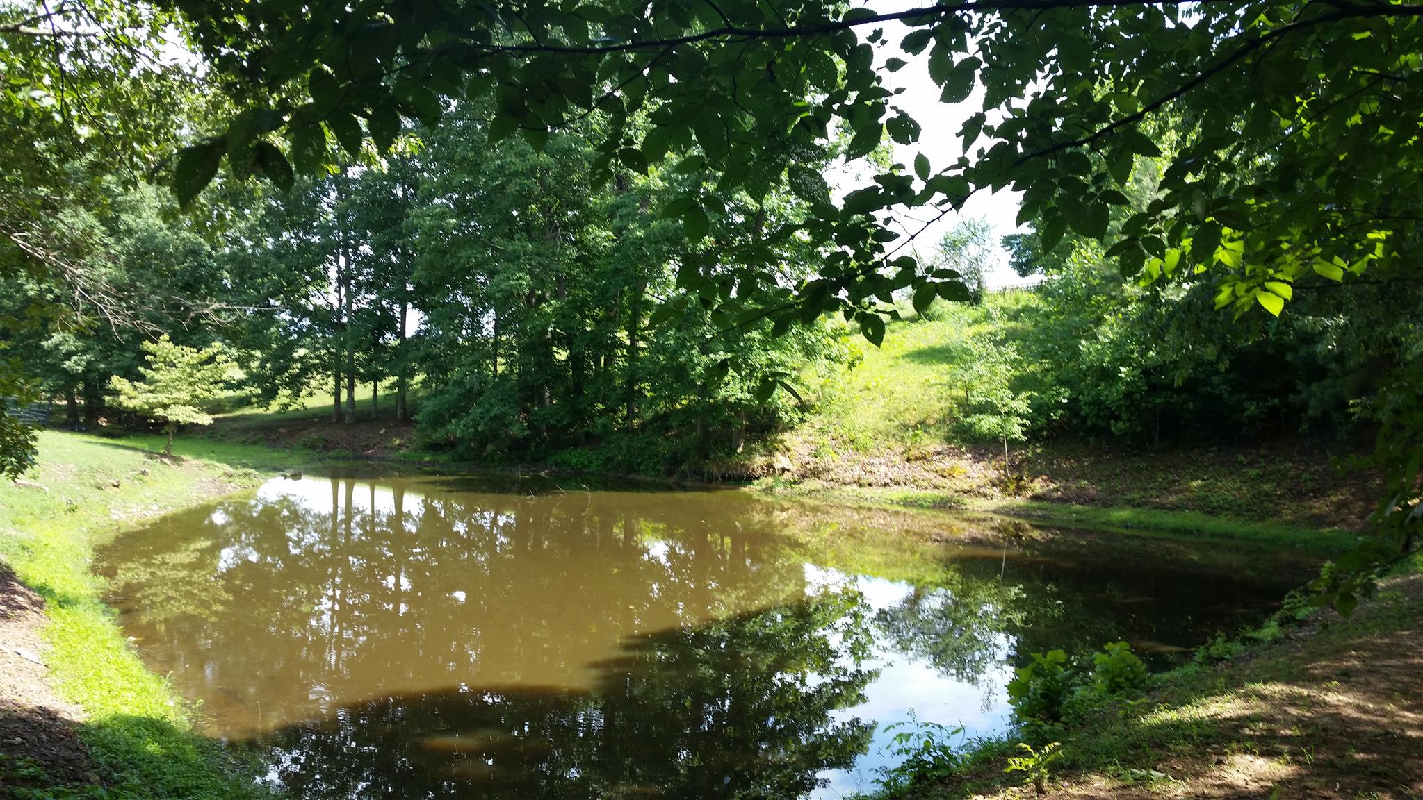 7997 Old Pinewood Road Bon Aqua, TN 37025 - Photo 8 of 13
