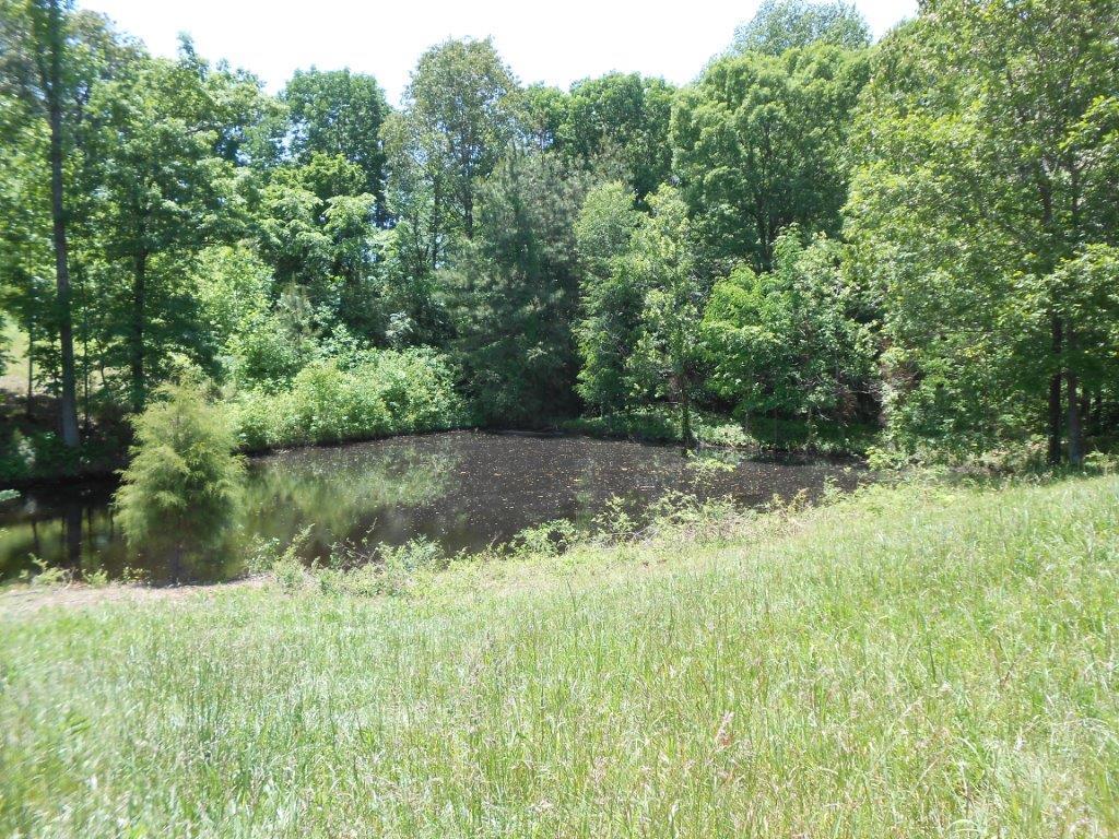 7997 Old Pinewood Road Bon Aqua, TN 37025 - Photo 9 of 13