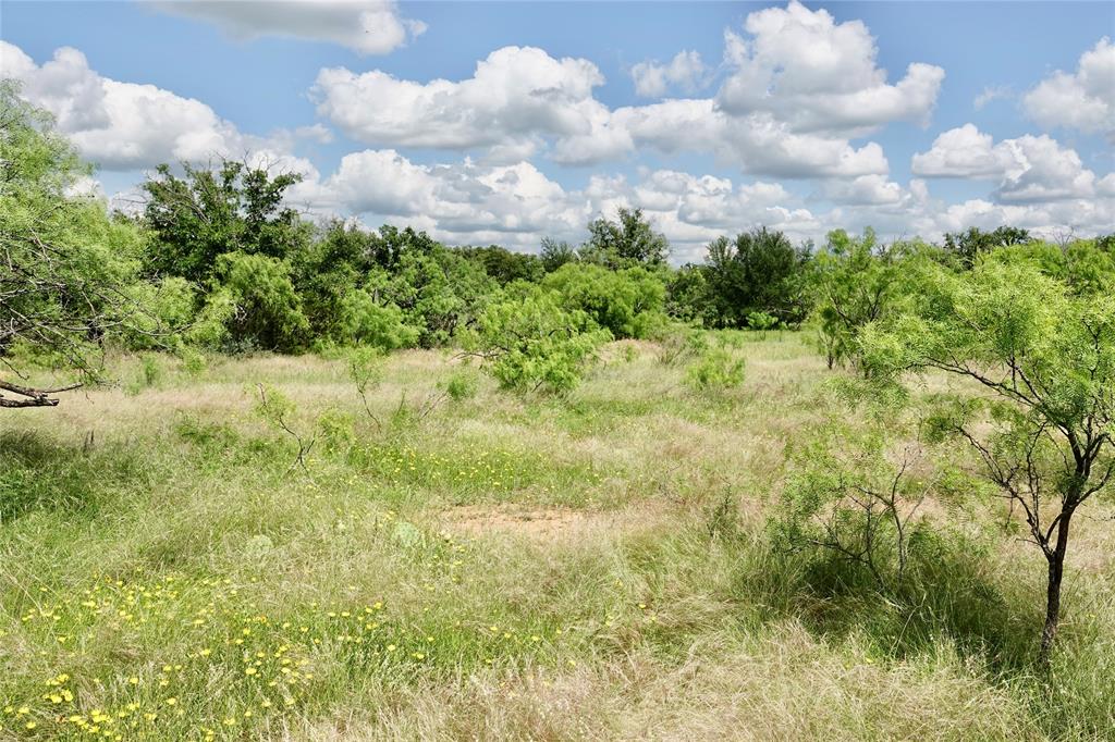 219 C R 550 Mullin, TX 76864 - Photo 29 of 37 a view of statue in middle of the green field