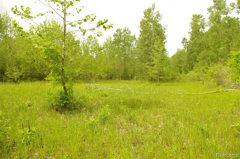 13034 Capernall Road Carleton, MI 48117 - Photo 42 of 44