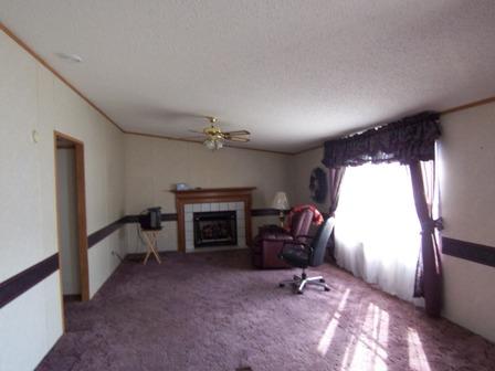 3234 Quarles Road Thaxton, VA 24174 - Photo 3 of 16 a living room with furniture and a fireplace