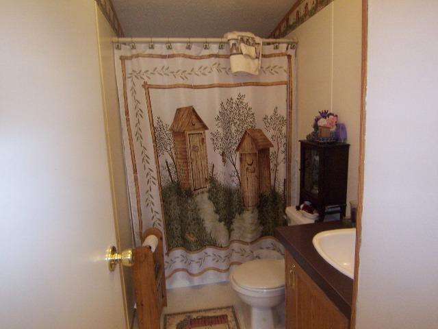 3234 Quarles Road Thaxton, VA 24174 - Photo 6 of 16 a bathroom with a shower toilet and sink