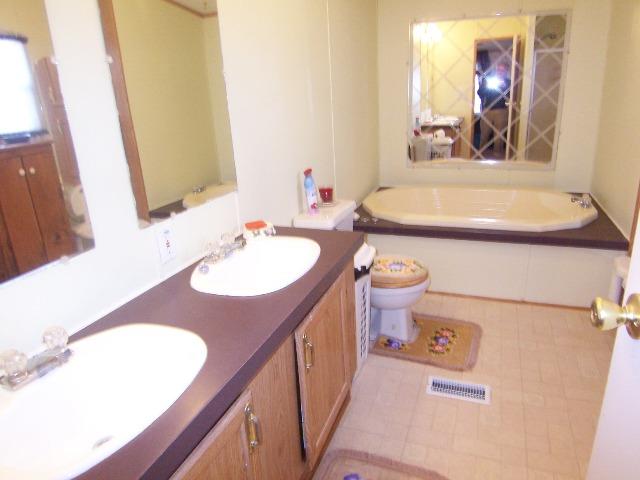 3234 Quarles Road Thaxton, VA 24174 - Photo 9 of 16 a bathroom with a sink a toilet and a bathtub