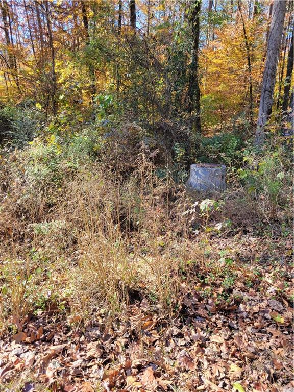 5008 Hidden Branch Drive Sugar Hill, GA 30518 - Photo 2 of 3