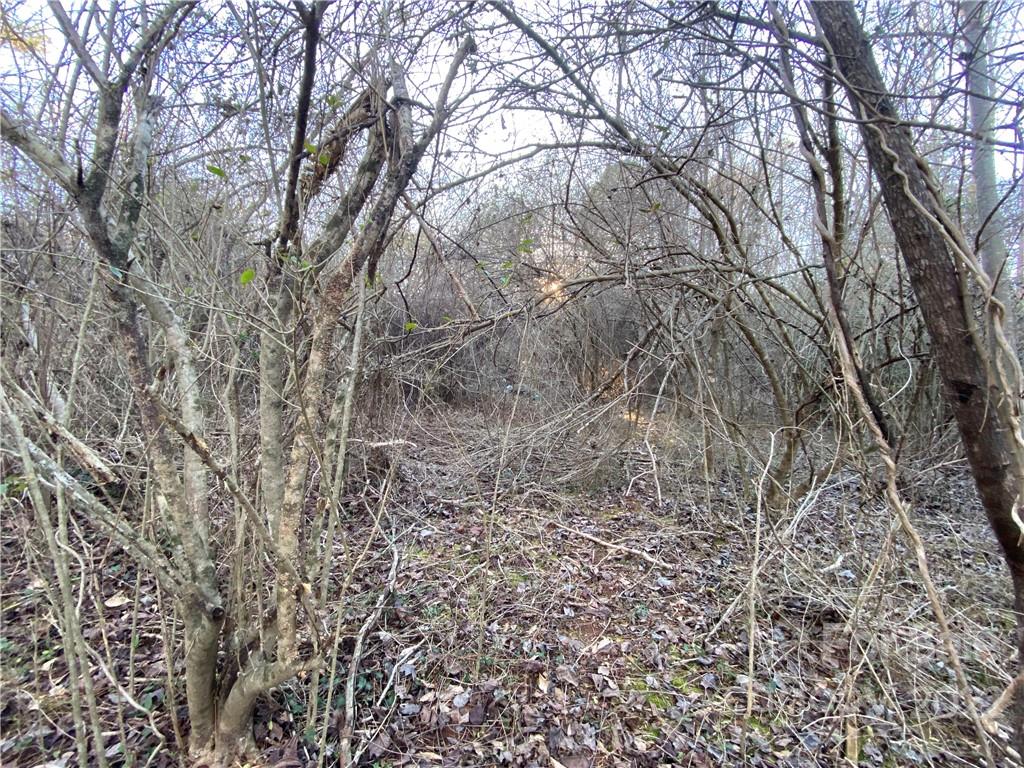 914 Highway 221 Rutherfordton, NC 28139 - Photo 29 of 48 Gallery Image 29