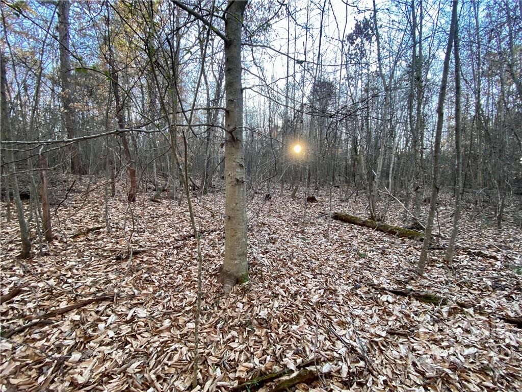 914 Highway 221 Rutherfordton, NC 28139 - Photo 31 of 48 Gallery Image 31
