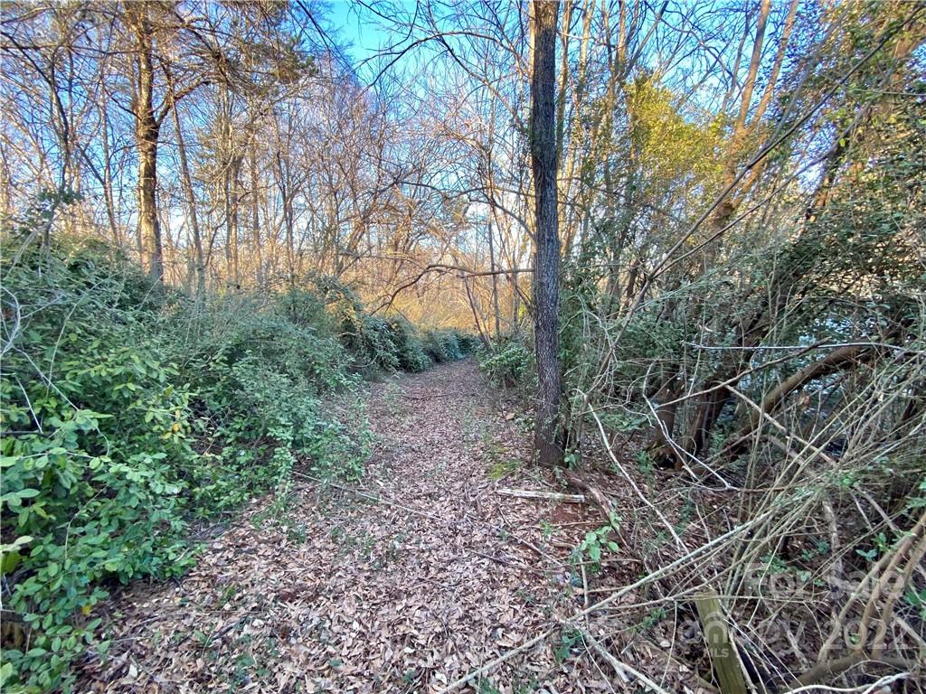 914 Highway 221 Rutherfordton, NC 28139 - Photo 8 of 48 Gallery Image 8