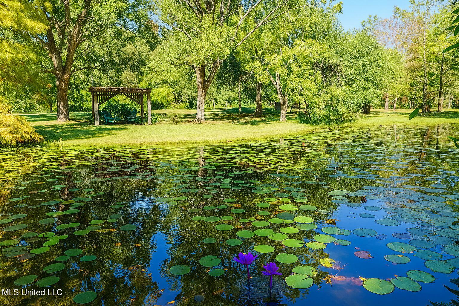 119 Ceasar Road Picayune, MS 39466 - Photo 2 of 25 Caesar Photo 24