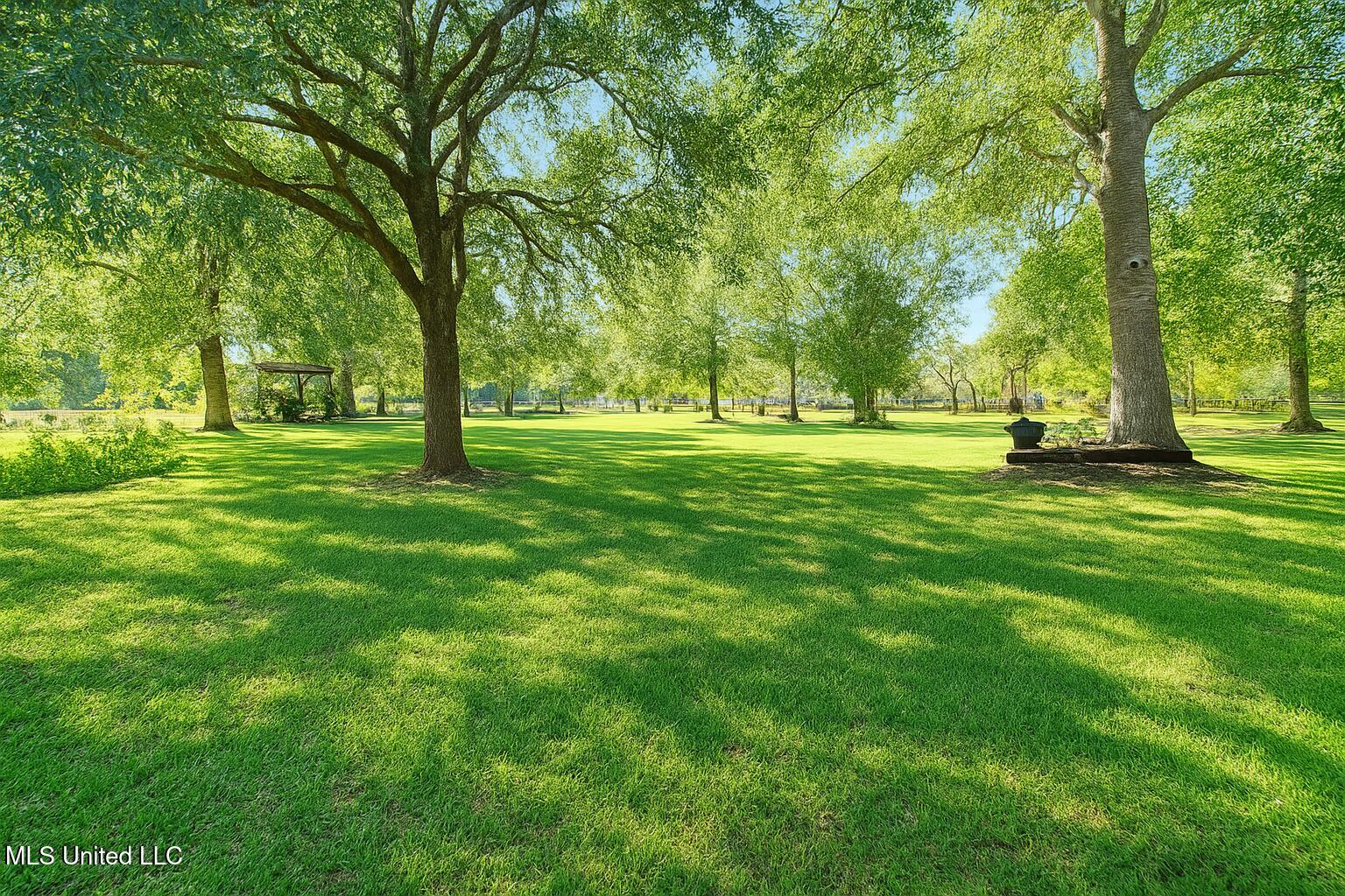 119 Ceasar Road Picayune, MS 39466 - Photo 25 of 25 Caesar Photo 35