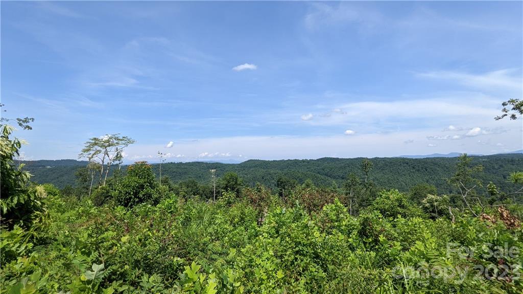 0 Guice Road Saluda, NC 28773 - Photo 12 of 12 Gallery Image 12
