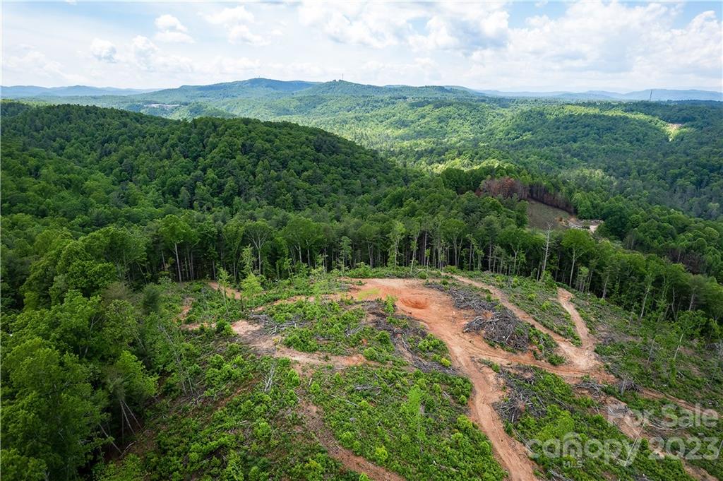 0 Guice Road Saluda, NC 28773 - Photo 6 of 12 Gallery Image 6