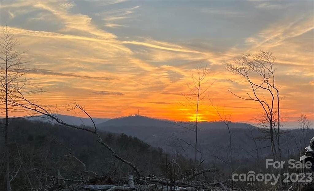 0 Guice Road Saluda, NC 28773 - Photo 8 of 12 Gallery Image 8