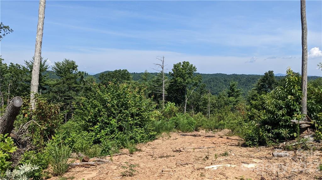 0 Guice Road Saluda, NC 28773 - Photo 10 of 12 Gallery Image 10