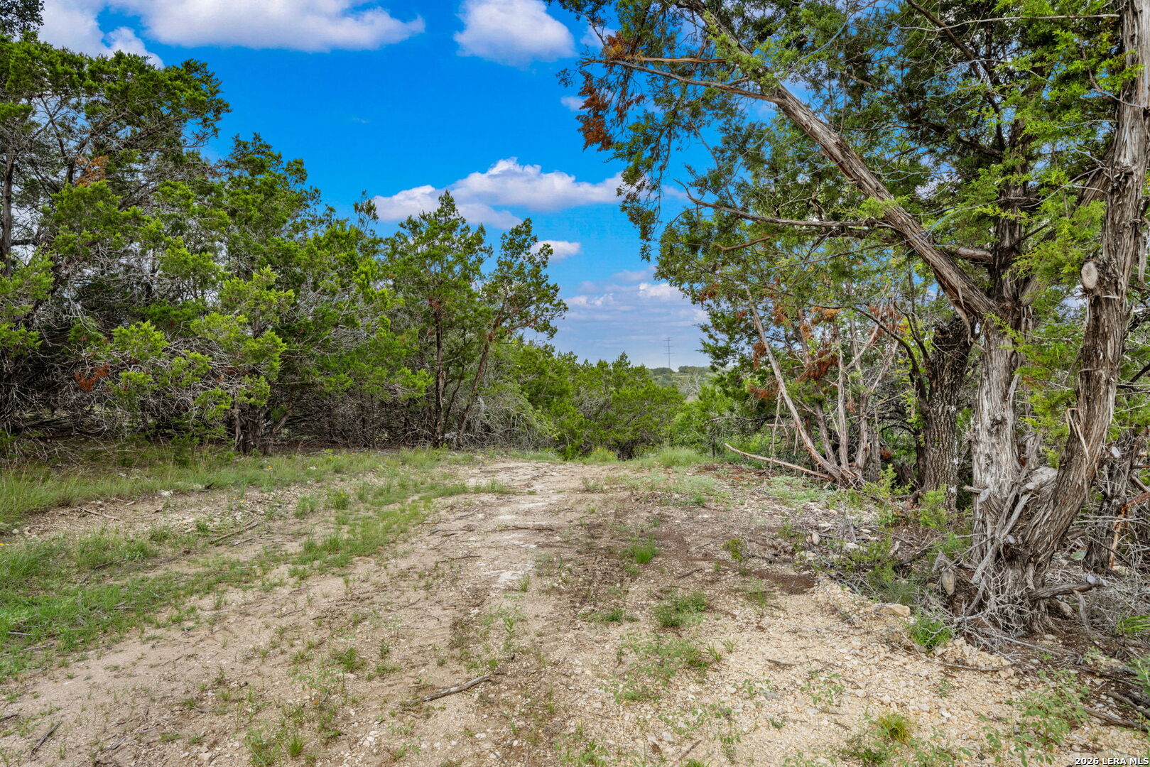 335 Shepherds Ranch Bulverde, TX 78163 - Photo 3 of 11