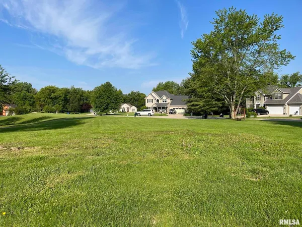 a view of a grassy field with trees
