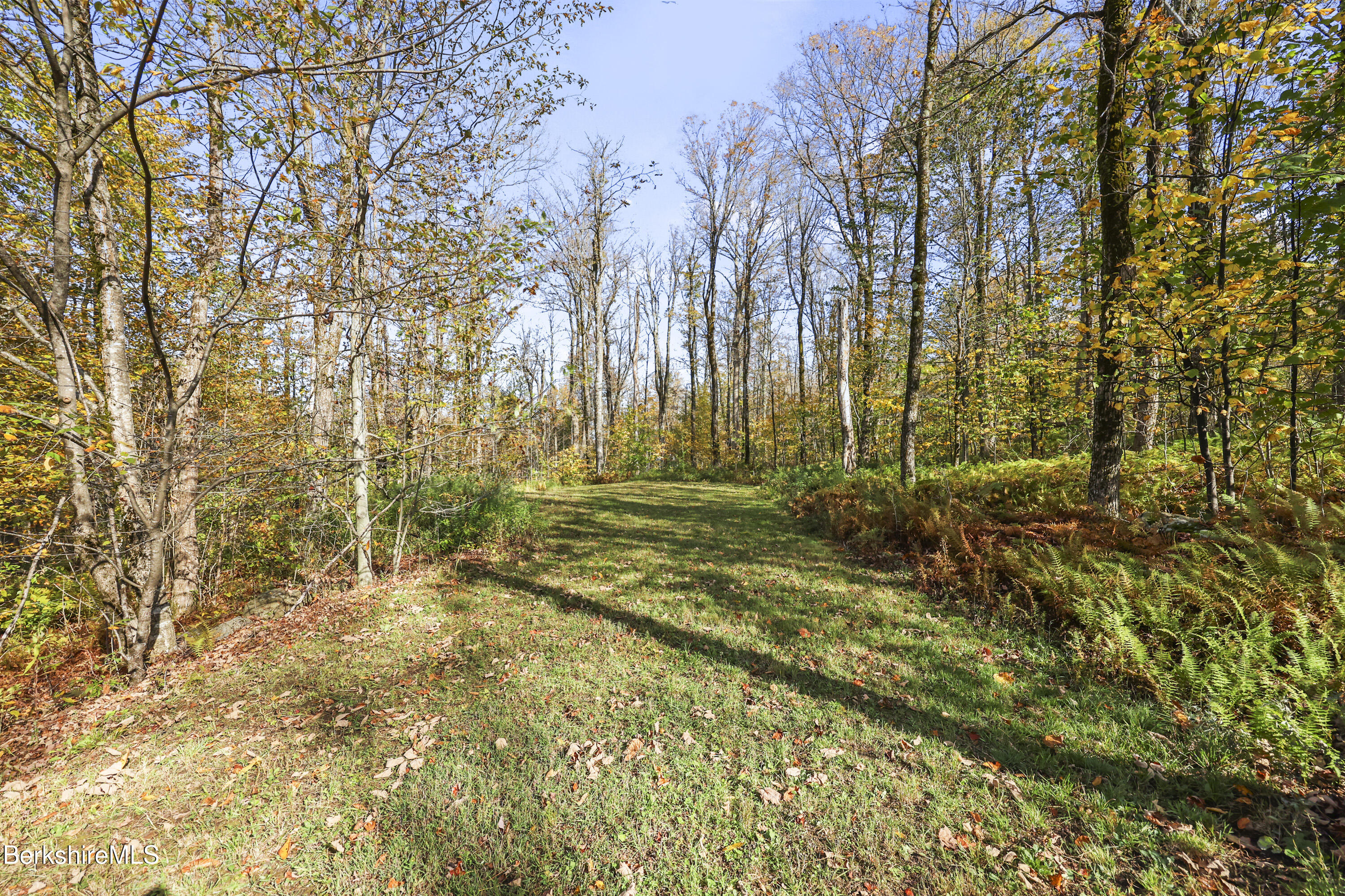 262 Stebbins Road Otis, MA 01253 - Photo 42 of 45 39-Back Yard