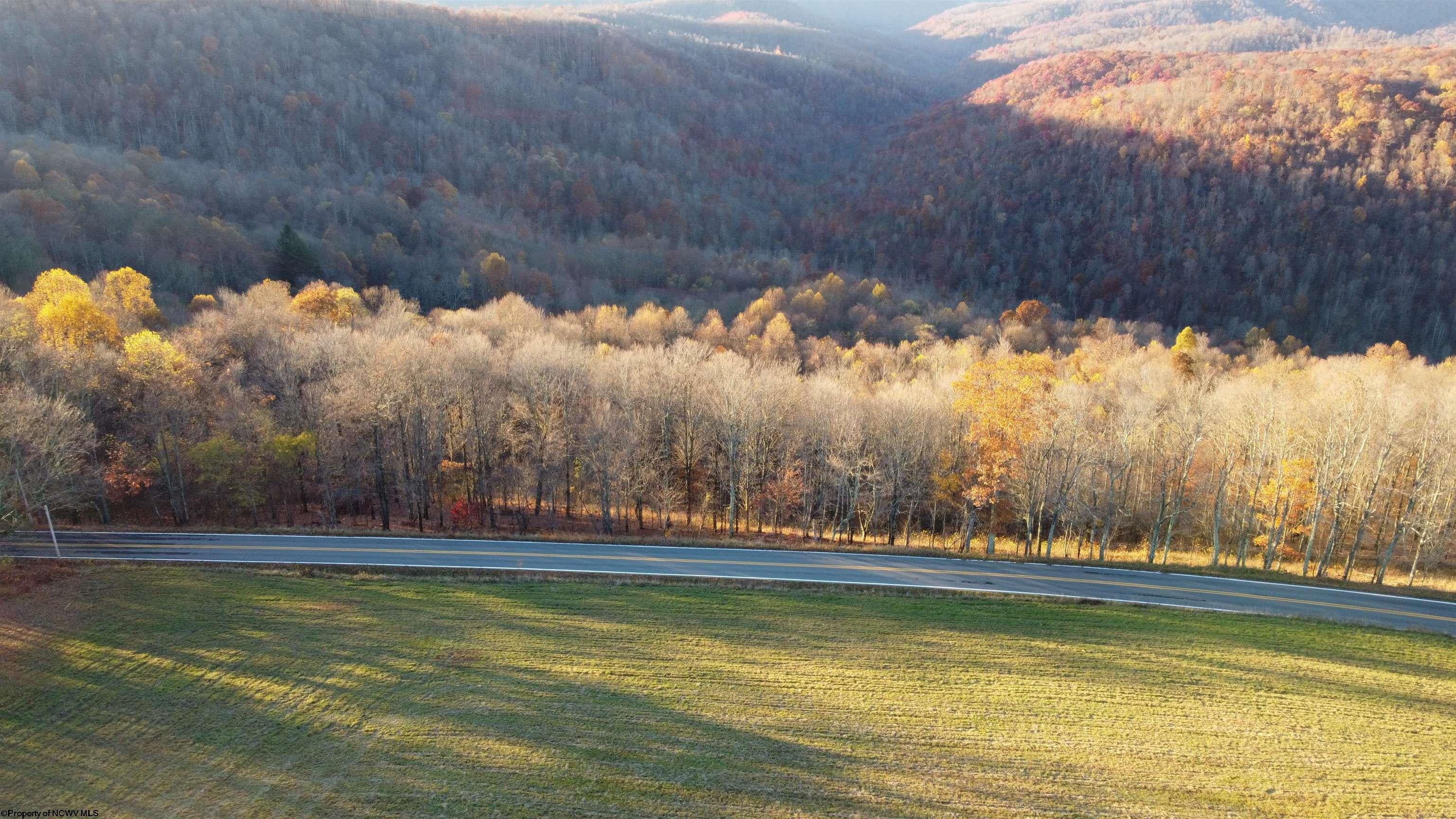 25-acres Stemple Ridge Road Aurora, WV 26705 - Photo 17 of 27 Gallery Image 17