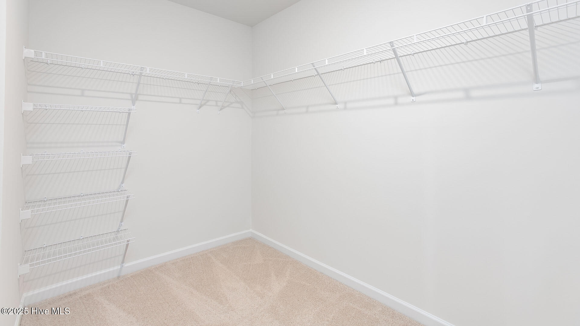 7456 Michelle Road Rocky Mount, NC 27803 - Photo 24 of 37 502 Leven Drive-23