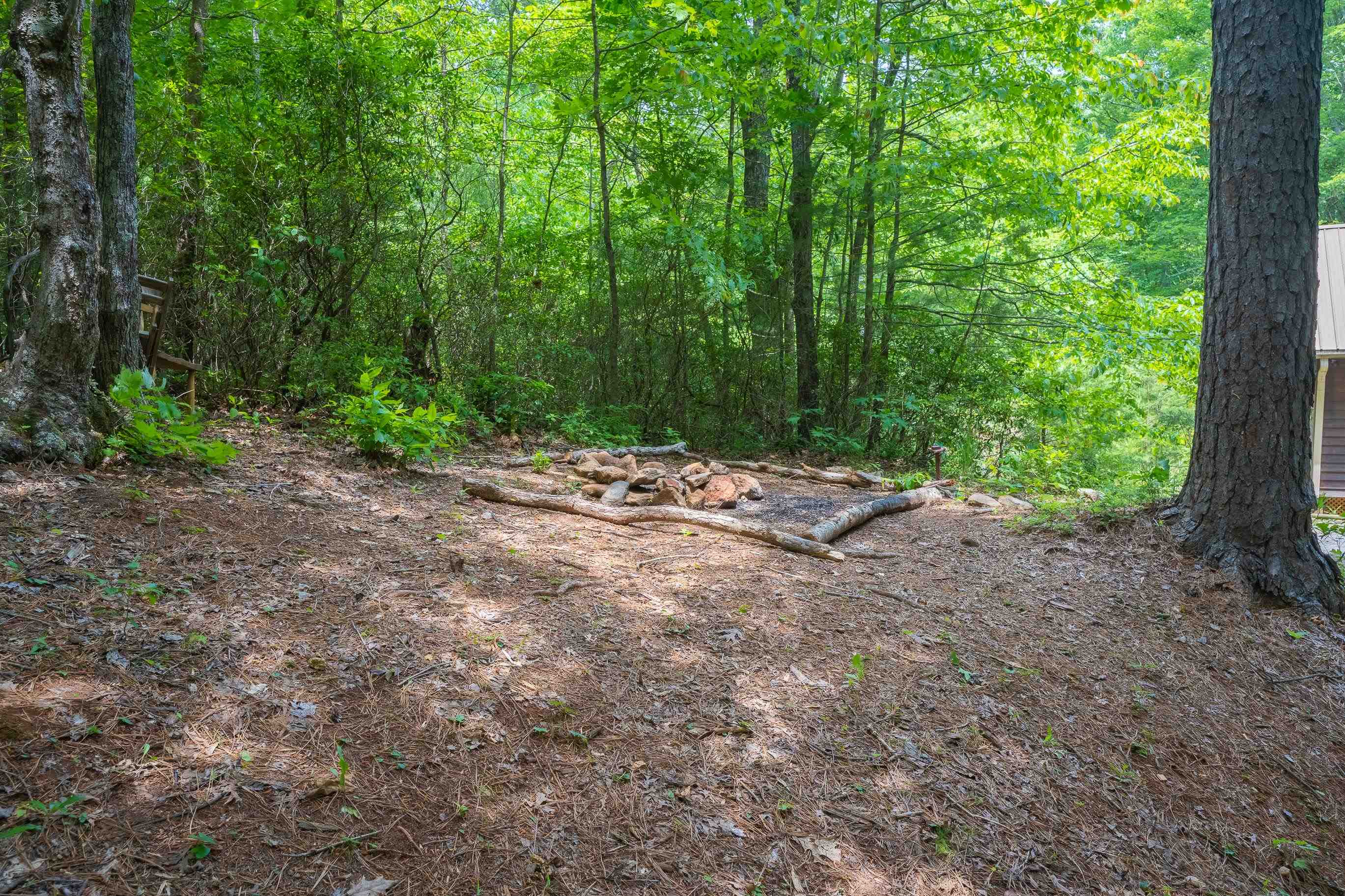 718 Piney Gate Road Saluda, NC 28773 - Photo 16 of 18 Gallery Image 16