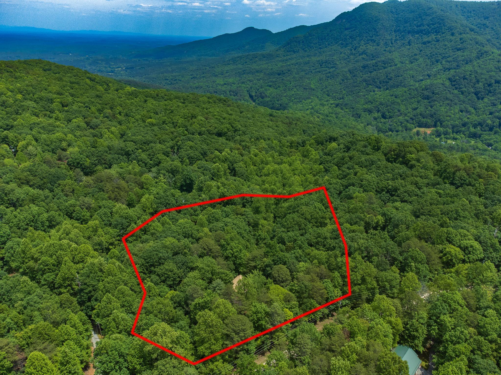 718 Piney Gate Road Saluda, NC 28773 - Photo 18 of 18 Gallery Image 18
