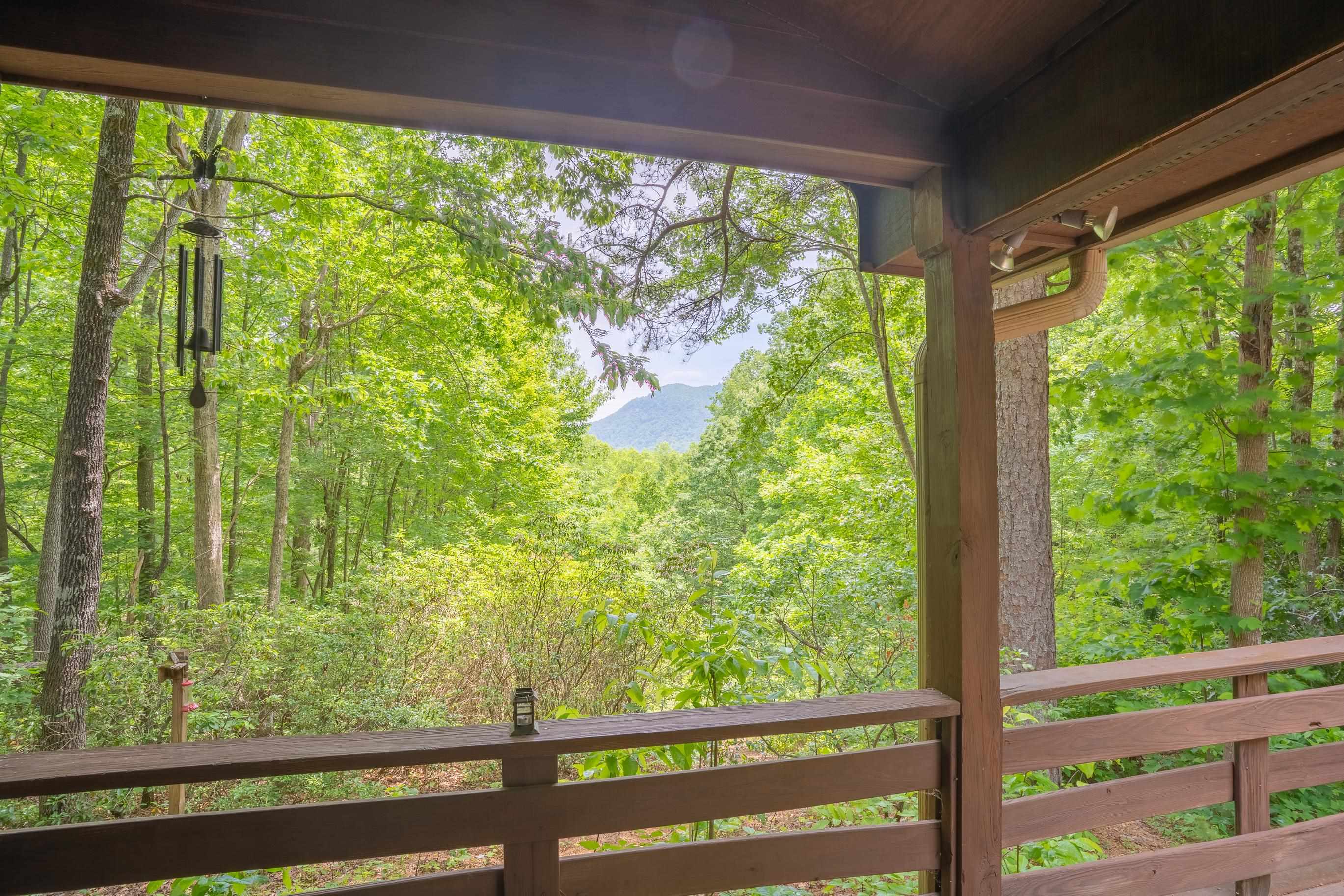 718 Piney Gate Road Saluda, NC 28773 - Photo 3 of 18 Gallery Image 3