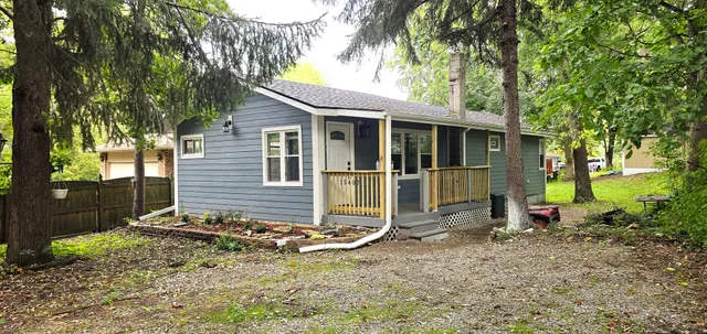 a view of a backyard with a tree