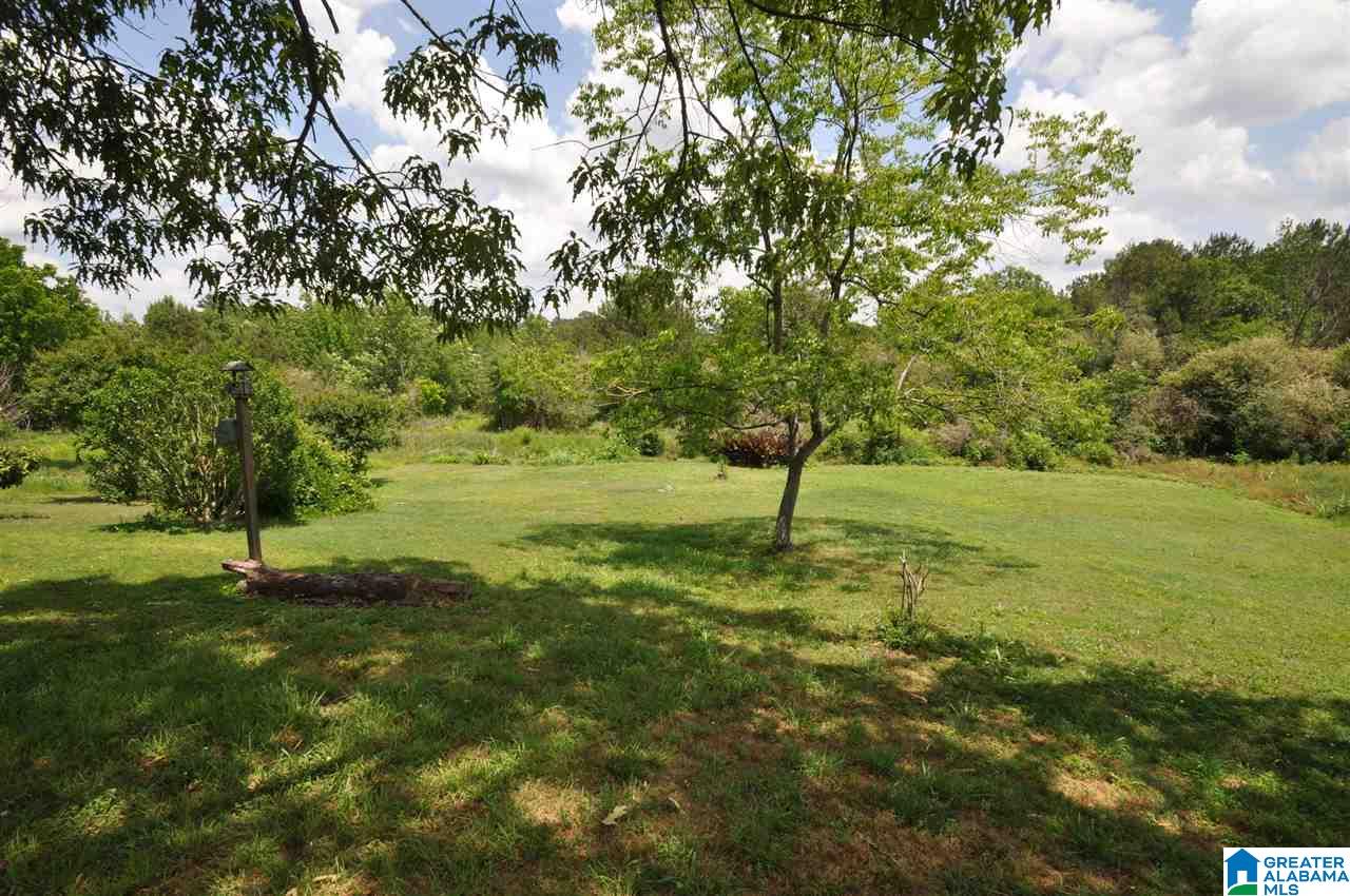 175 Shady Point Road Locust Fork, AL 35097 - Photo 7 of 36