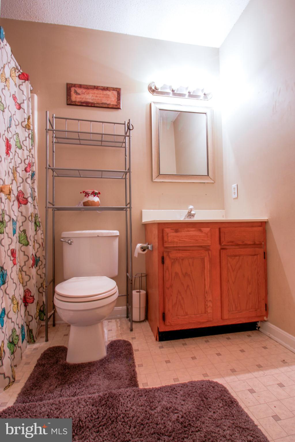 865 Valley Mill Road Winchester, VA 22602 - Photo 9 of 26 Bathroom