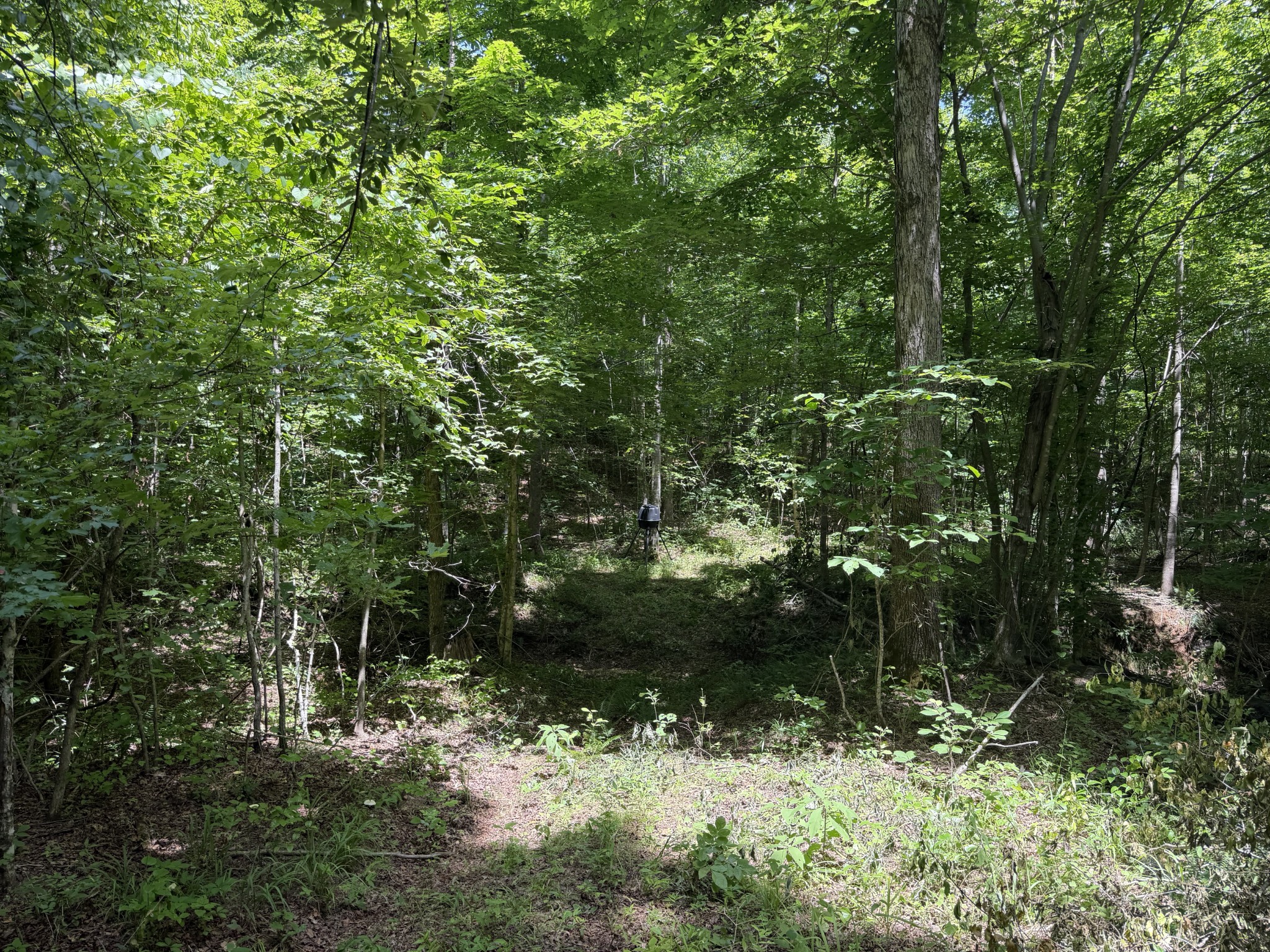 215 Bar Bee Road Hohenwald, TN 38462 - Photo 20 of 51