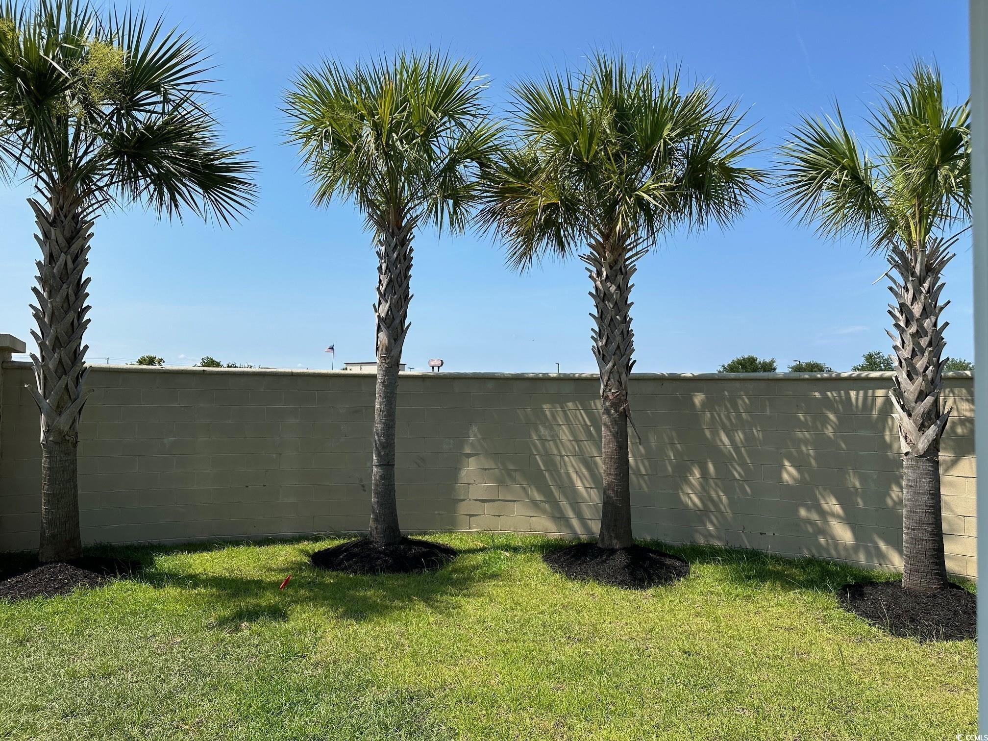 252 Hull Street Surfside Beach, SC 29575 - Photo 27 of 40 Gallery Image 27