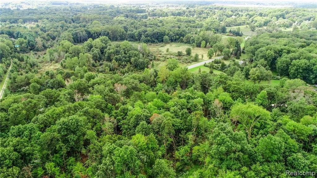 0 Kaiser Road Gregory, MI 48137 - Photo 9 of 18