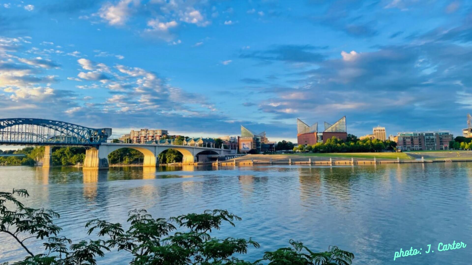 1769 Whiteoak Road Chattanooga, TN 37415 - Photo 75 of 75 View of TN Aquarium from Coolidge Park
